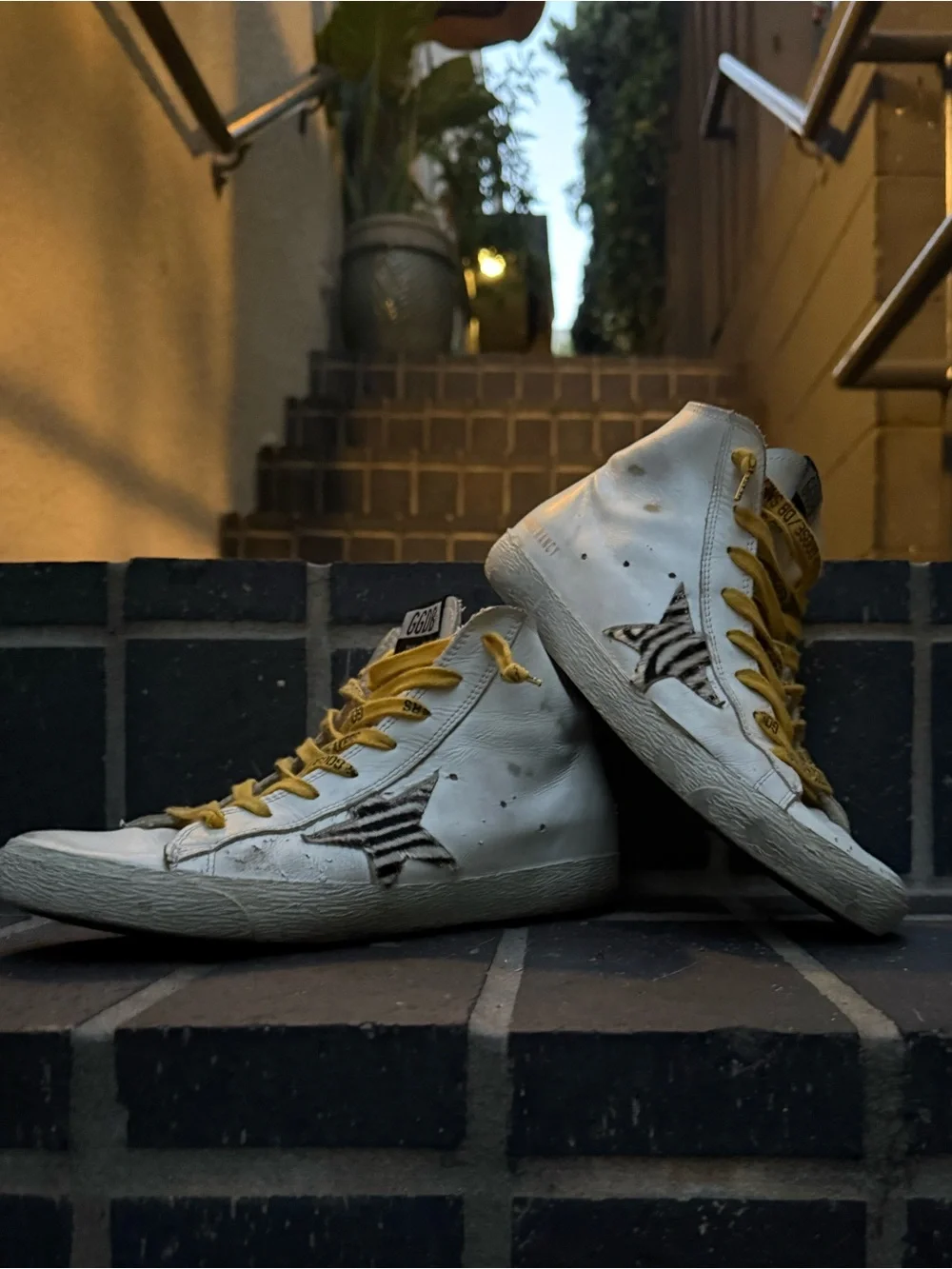 Golden Goose Leather Francy Penstar Hi-Top Sneakers (White, W-38EU/8US)